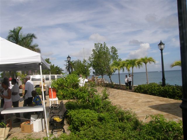 P5160005.JPG