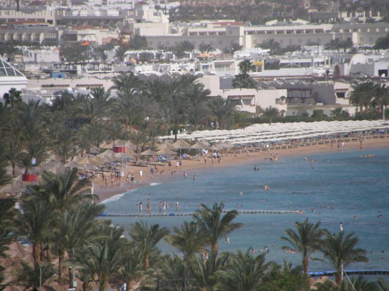 P2010006.JPG